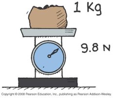 1 kg mass weighs 9.8 N on a scale