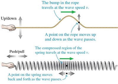 Transverse and longitudinal waves illustration