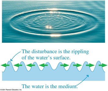 Ripples on a pond as a traveling wave