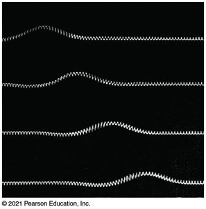 Wave pulse traveling along a spring