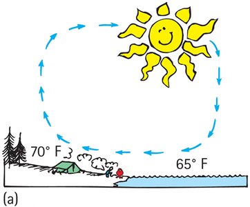 Daytime sea breeze convection cycle