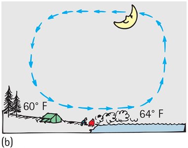Nighttime convection cycle