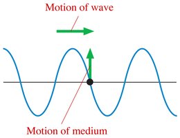 Motion of a point on a string in a transverse wave