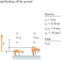 Springbok leap calculation