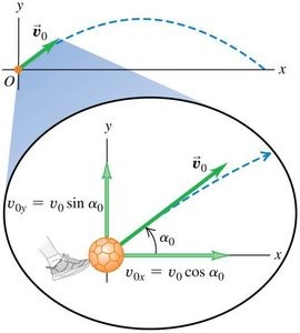 Initial velocity components of a projectile