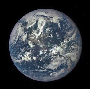 Action-reaction pair: apple and earth
