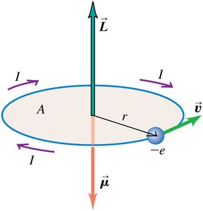 Electron orbiting nucleus with associated magnetic moment and angular momentum