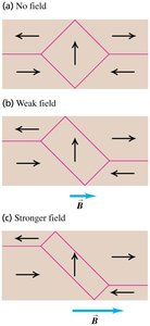 Magnetic domains in a ferromagnetic material