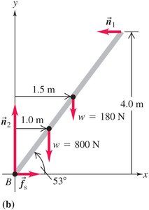 Forces on a ladder in equilibrium