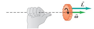 Right hand rule for angular momentum