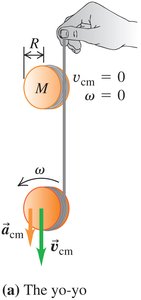 Yo-yo diagram