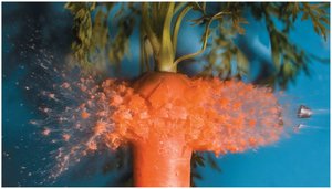 A bullet striking a carrot, illustrating a collision where forces are complex and unknown.