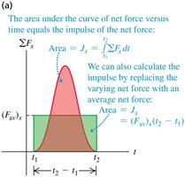 Area under force vs. time curve equals impulse; can use average force for calculation.
