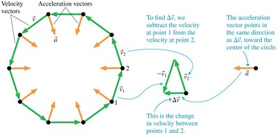 Velocity and acceleration vectors in uniform circular motion