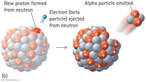 Alpha and beta decay processes in nuclei