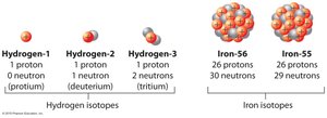 Diagram of hydrogen and iron isotopes
