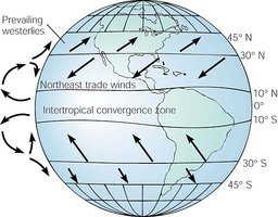 Global wind patterns