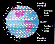 Prevailing winds diagram