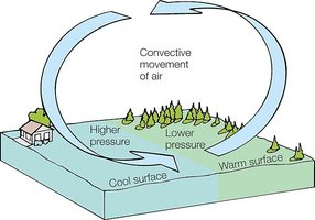 Convective movement of air