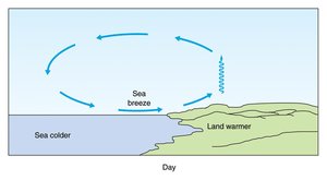 Sea breeze during the day
