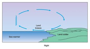 Land breeze at night