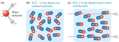 Polar water molecules in an external electric field
