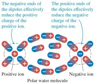 Polar water molecules reduce the effective charge of ions