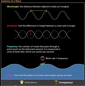 Wave amplitude and wavelength example