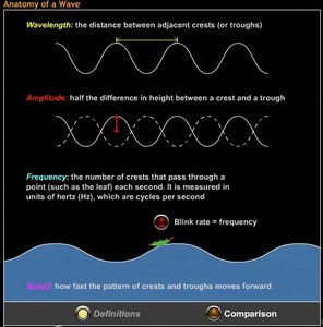 Wave period and frequency example