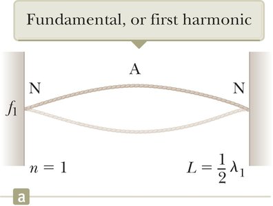 Harmonic series in musical notes
