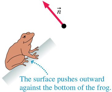 Normal force on a frog on an incline