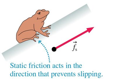Static friction prevents frog from slipping
