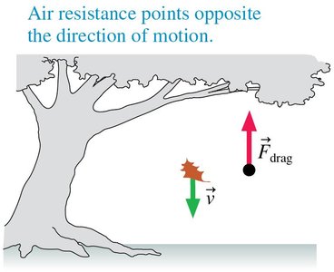 Air resistance (drag) on a falling leaf