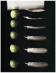 Feather and apple falling in vacuum