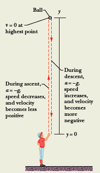 Diagram of ball thrown upward, showing ascent and descent