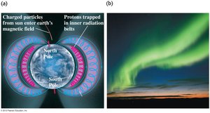 Van Allen belts and aurora