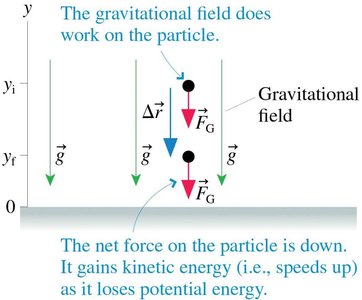 Gravitational field does work on a particle