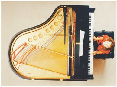 Various stringed instruments