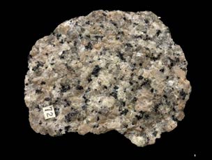 Lithosphere and crust densities