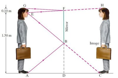 Minimum height of a plane mirror for full-body view