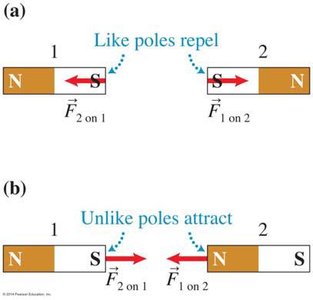 Magnetic pole interactions