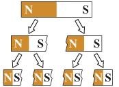 Breaking a magnet results in two dipoles