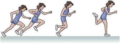 Motion diagram of a runner speeding up
