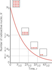 Radioactive decay curve showing half-life intervals