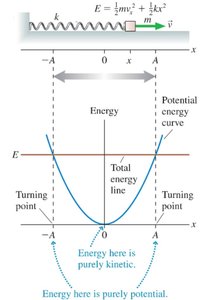 Potential energy curve for a spring-mass system