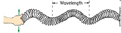 Transverse wave on a spring, showing wavelength
