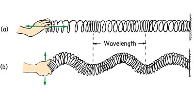 Longitudinal wave on a spring, showing wavelength