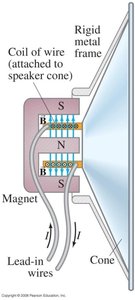 Loudspeaker construction with coil and magnet