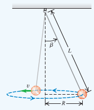 Tether ball swinging in a horizontal circle, showing cord length L and angle β