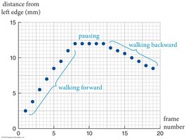 Position vs. time graph showing walking forward, pausing, and walking backward
